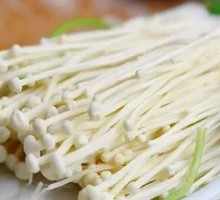Enoki Mushroom