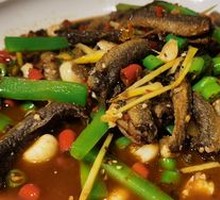 Spicy Beef Tripe Stir-Fry