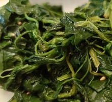 山野灰灰菜