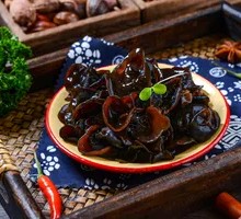 Wild Mountain Mushrooms