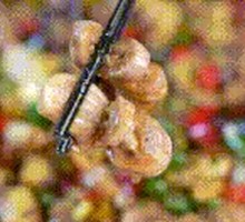 Spicy Crispy Intestine