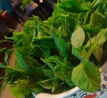 Pea Shoots