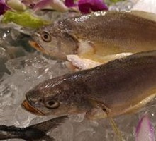 Pan-fried Small Yellow Croaker