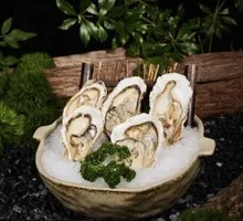 Cold Water Oyster from Latitude 39°