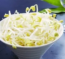 Mung Bean Sprouts