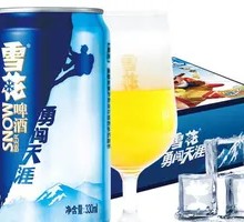 Snowflake Brave Journey