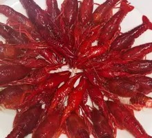 Bright Steamed Shrimp