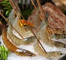 Fresh Tiger Prawns