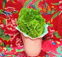 Tender Lettuce