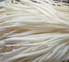 Enoki Mushroom