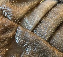 Fresh Beef Tripe from the Slaughterhouse