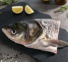 Sancha Lake Wild Catfish Head