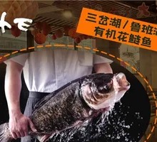 Lu Ban Lake Organic Bighead Carp