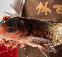 San Cha Lake Organic Bighead Carp