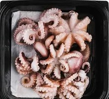 Fresh Octopus
