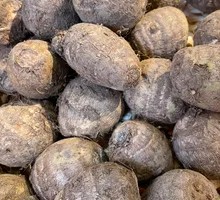 Fresh Taro from Dry Land