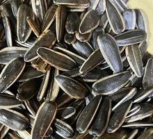 Sunflower Seeds