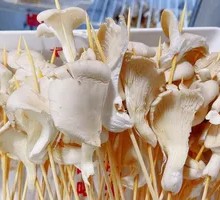 Enoki Mushroom