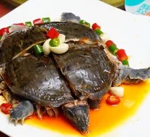 Braised Softshell Turtle