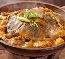 Stewed Yellow Softshell Turtle