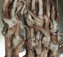 Squid Tentacles