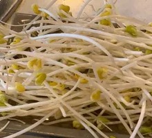 Bean sprouts