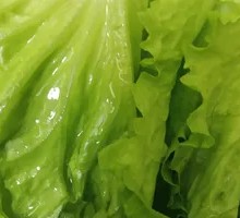 Snail Vegetable Dish