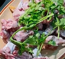 Freshly Caught Bullfrog