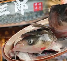 Deep-water Bighead Carp