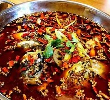 Freshly Slaughtered Fish Head