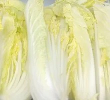 High Mountain Baby Bok Choy