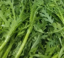 Chinese chrysanthemum greens
