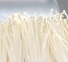 Silver Needle Mushroom