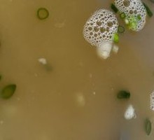 Soybean Soup