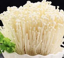 Random Eating Golden Needle Mushroom