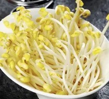 Bean Sprouts Anywhere