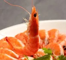 Boiled Shrimp