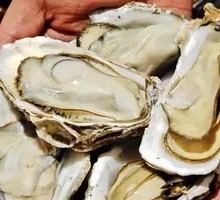 Pressure Cooker Oysters