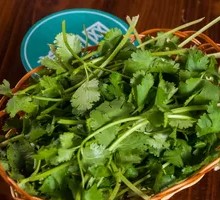 Cilantro