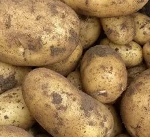Northeastern Potato Dish