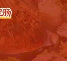 Pork Intestines