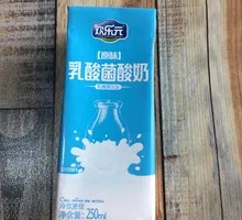 Lactic Acid Yogurt