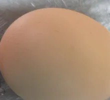 Raw Egg