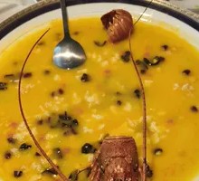 Steamed Baby Australian Lobster in Shrimp Broth