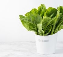 Lettuce