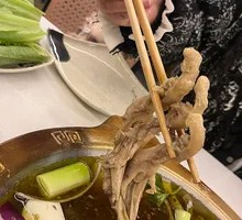 Special Duck Feet Pot