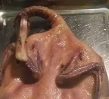 Raw Duck