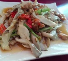 Bamboo Mushroom and Pork Rice Bowl