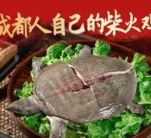 Firewood Turtle Stew