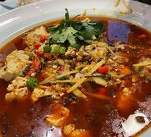 Young Ginger Spicy Frog